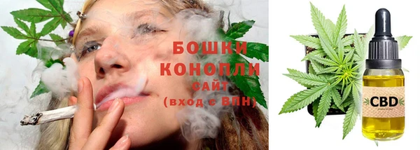 ПСИЛОЦИБИНОВЫЕ ГРИБЫ Аркадак