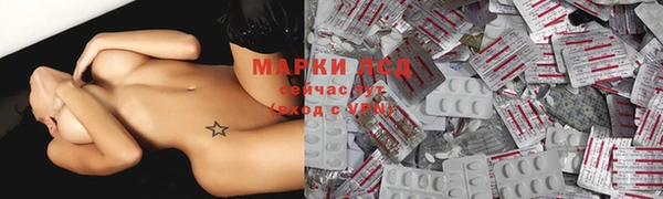 ПСИЛОЦИБИНОВЫЕ ГРИБЫ Аркадак