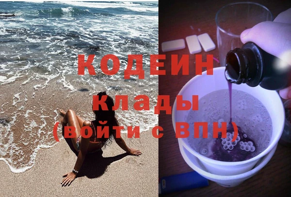 индика Баксан